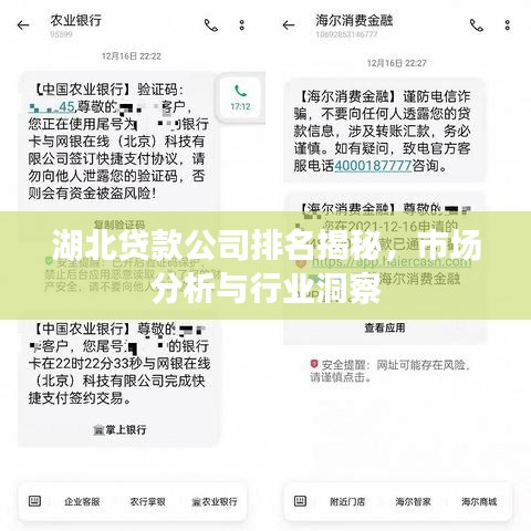 湖北贷款公司排名揭秘，市场分析与行业洞察
