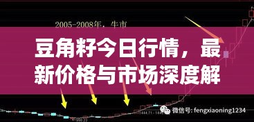 豆角籽今日行情，最新价格与市场深度解析