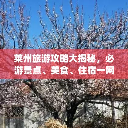 莱州旅游攻略大揭秘，必游景点、美食、住宿一网打尽！