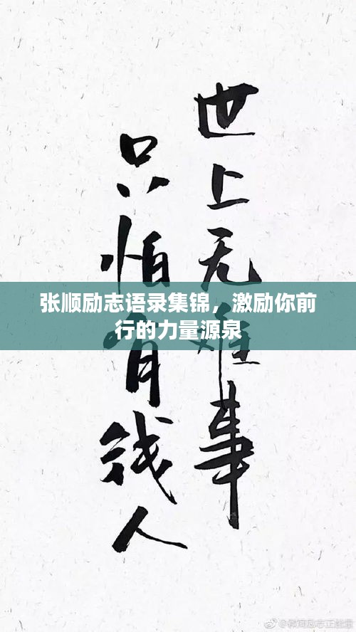张顺励志语录集锦，激励你前行的力量源泉