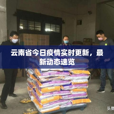 云南省今日疫情实时更新，最新动态速览