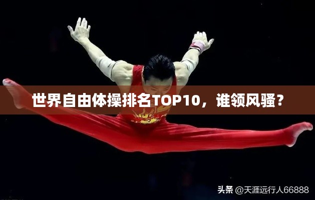 世界自由体操排名TOP10，谁领风骚？