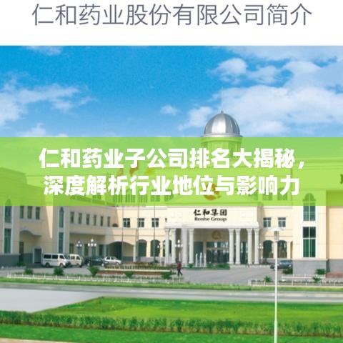 仁和药业子公司排名大揭秘，深度解析行业地位与影响力
