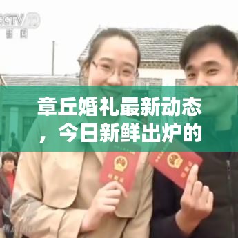 章丘婚礼最新动态，今日新鲜出炉的婚礼消息汇总