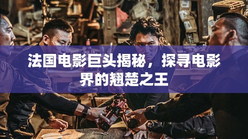 法国电影巨头揭秘，探寻电影界的翘楚之王