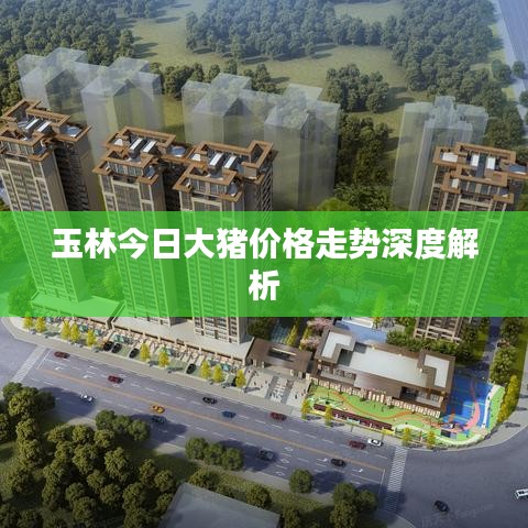 玉林今日大猪价格走势深度解析