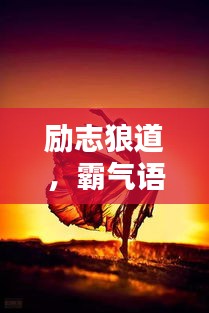 励志狼道，霸气语录与美图欣赏