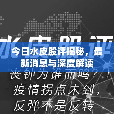 今日水皮股评揭秘，最新消息与深度解读