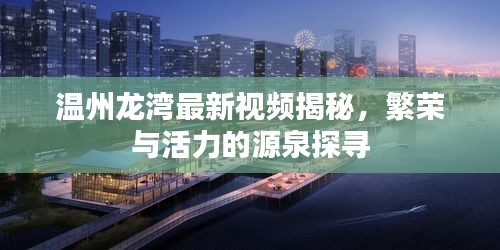 温州龙湾最新视频揭秘，繁荣与活力的源泉探寻