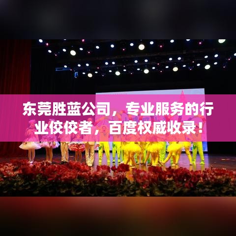 东莞胜蓝公司，专业服务的行业佼佼者，百度权威收录！