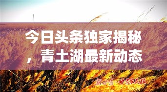 今日头条独家揭秘，青土湖最新动态快报