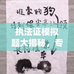执法证模拟题大揭秘，专业试题一网打尽，轻松备考！