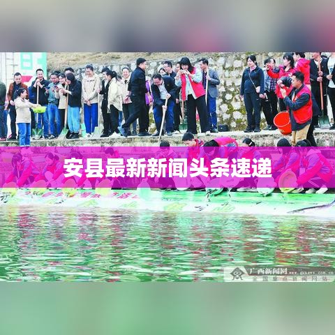安县最新新闻头条速递