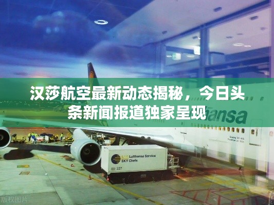 汉莎航空最新动态揭秘，今日头条新闻报道独家呈现