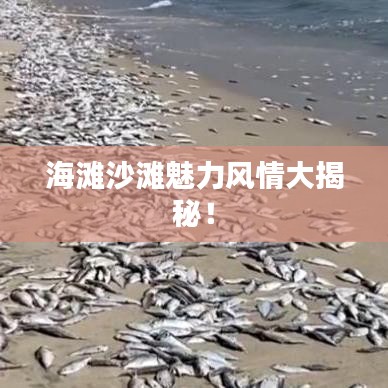 海滩沙滩魅力风情大揭秘！