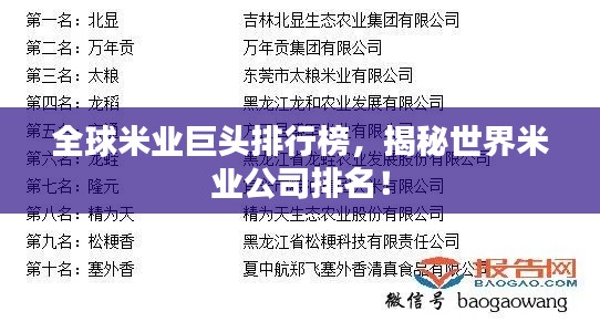 全球米业巨头排行榜，揭秘世界米业公司排名！