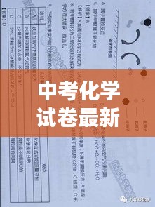 中考化学试卷最新题型解析与答案概览揭秘