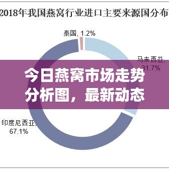 今日燕窝市场走势分析图，最新动态与市场前景展望