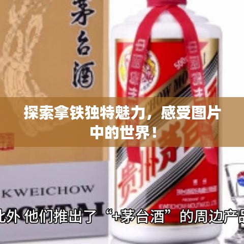 鸟吏鼈官