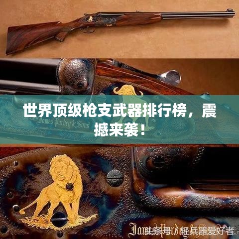 世界顶级枪支武器排行榜，震撼来袭！