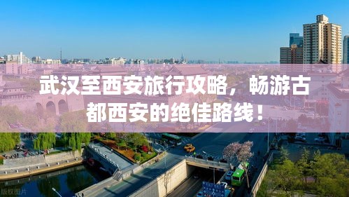 产品展示 第50页