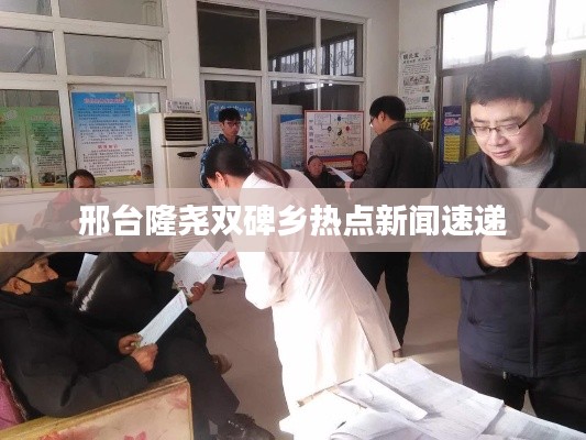 邢台隆尧双碑乡热点新闻速递