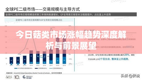 今日菇类市场涨幅趋势深度解析与前景展望