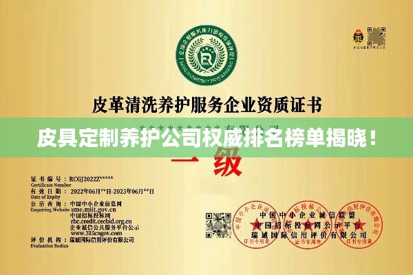 皮具定制养护公司权威排名榜单揭晓！