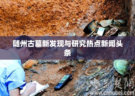 随州古墓新发现与研究热点新闻头条