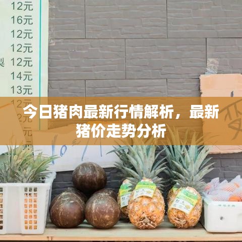 产品展示 第42页