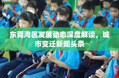 东莞湾区发展动态深度解读，城市变迁新闻头条