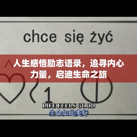 不求甚解