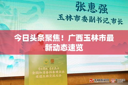 今日头条聚焦！广西玉林市最新动态速览