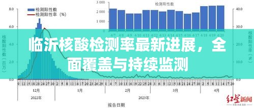 临沂核酸检测率最新进展，全面覆盖与持续监测