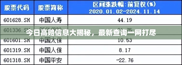 今日高赔信息大揭秘，最新查询一网打尽
