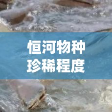 恒河物种珍稀程度排名TOP10榜单揭晓！