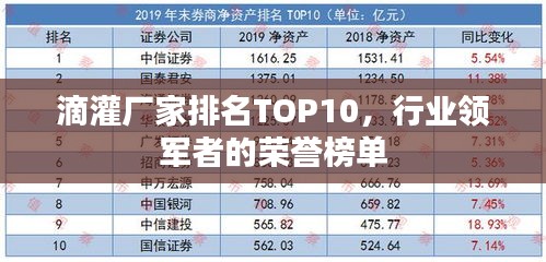 滴灌厂家排名TOP10，行业领军者的荣誉榜单