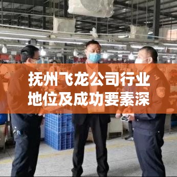 抚州飞龙公司行业地位及成功要素深度解析