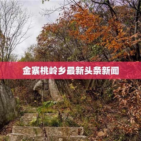 金寨桃岭乡最新头条新闻