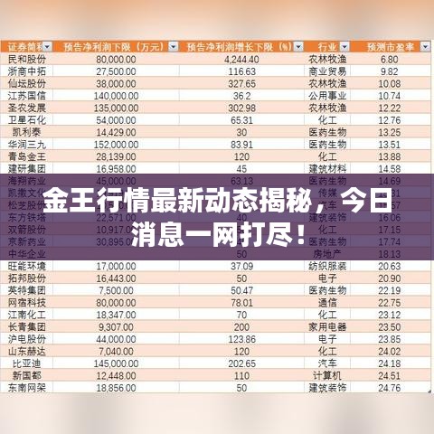 金王行情最新动态揭秘，今日消息一网打尽！