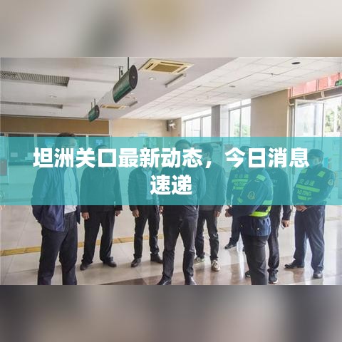 坦洲关口最新动态，今日消息速递