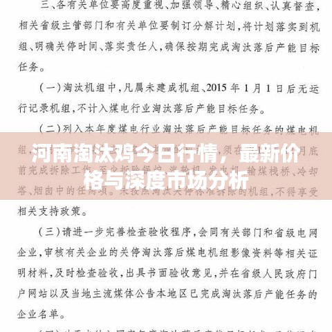 河南淘汰鸡今日行情，最新价格与深度市场分析