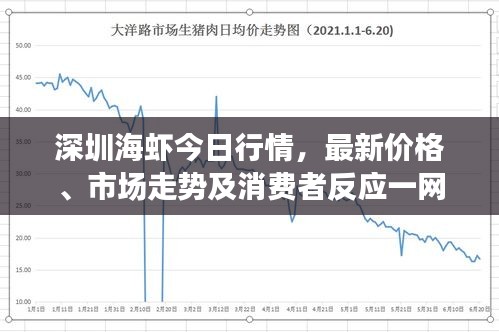 深圳海虾今日行情，最新价格、市场走势及消费者反应一网打尽