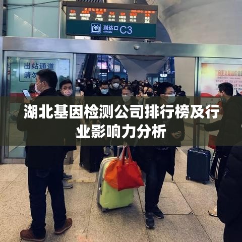 湖北基因检测公司排行榜及行业影响力分析