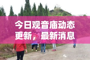 今日观音庙动态更新，最新消息一览