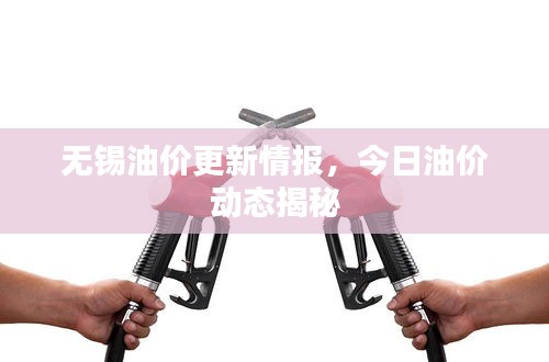无锡油价更新情报，今日油价动态揭秘