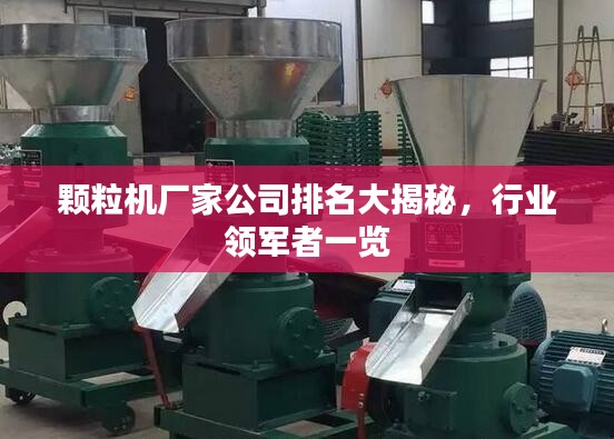 颗粒机厂家公司排名大揭秘，行业领军者一览