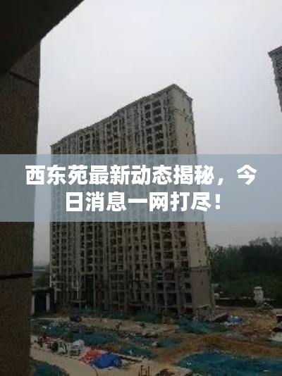 西东苑最新动态揭秘，今日消息一网打尽！