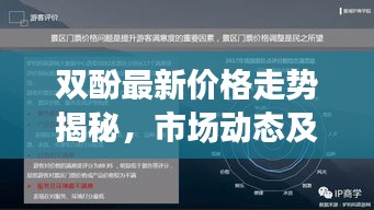 双酚最新价格走势揭秘，市场动态及影响因素分析