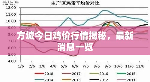 方城今日鸡价行情揭秘，最新消息一览